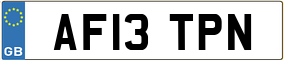 Trailer License Plate